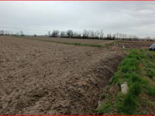 Terreno agricolo all'asta a parona sp192