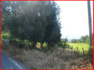 Terreno agricolo all'asta a campo calabro via matiniti superiore