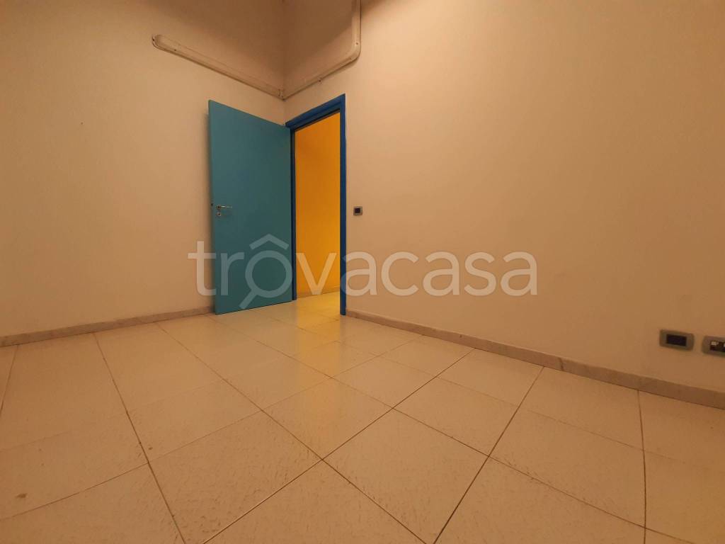 immagine annuncio 9 di 14