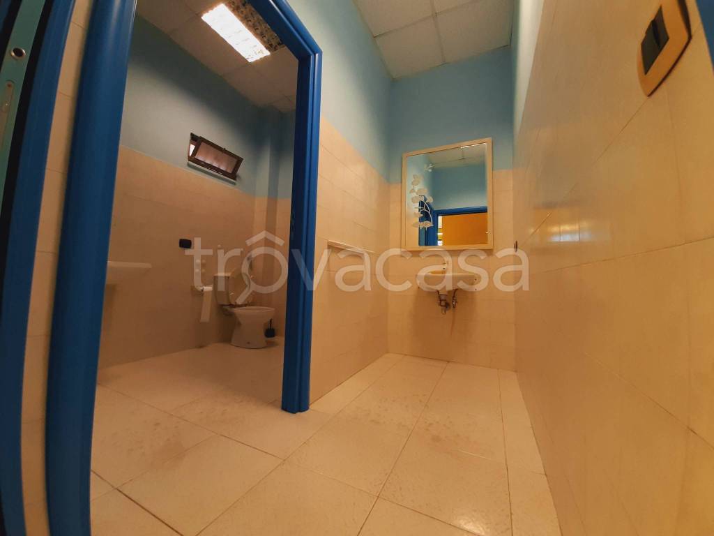 immagine annuncio 12 di 14