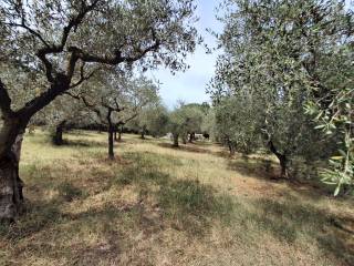 Appartamento in vendita a bevagna via fonte caime