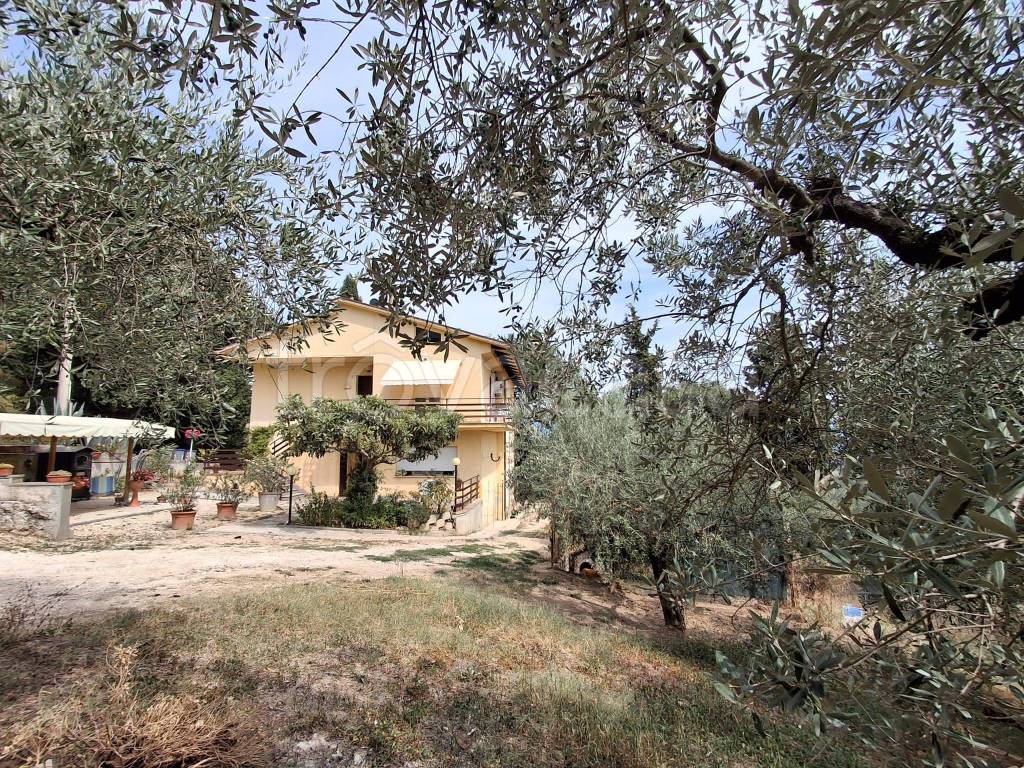immagine annuncio 2 di 7