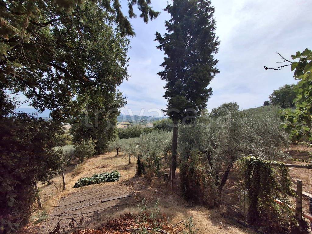 immagine annuncio 4 di 7