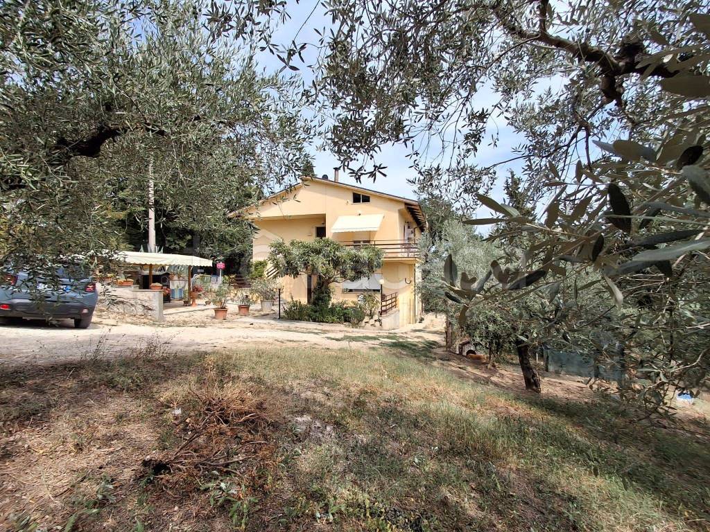 immagine annuncio 2 di 12