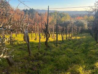 Terreno agricolo in vendita a loro ciuffenna via 7 ponti levante