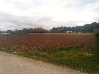 Terreno agricolo in vendita a jesi 