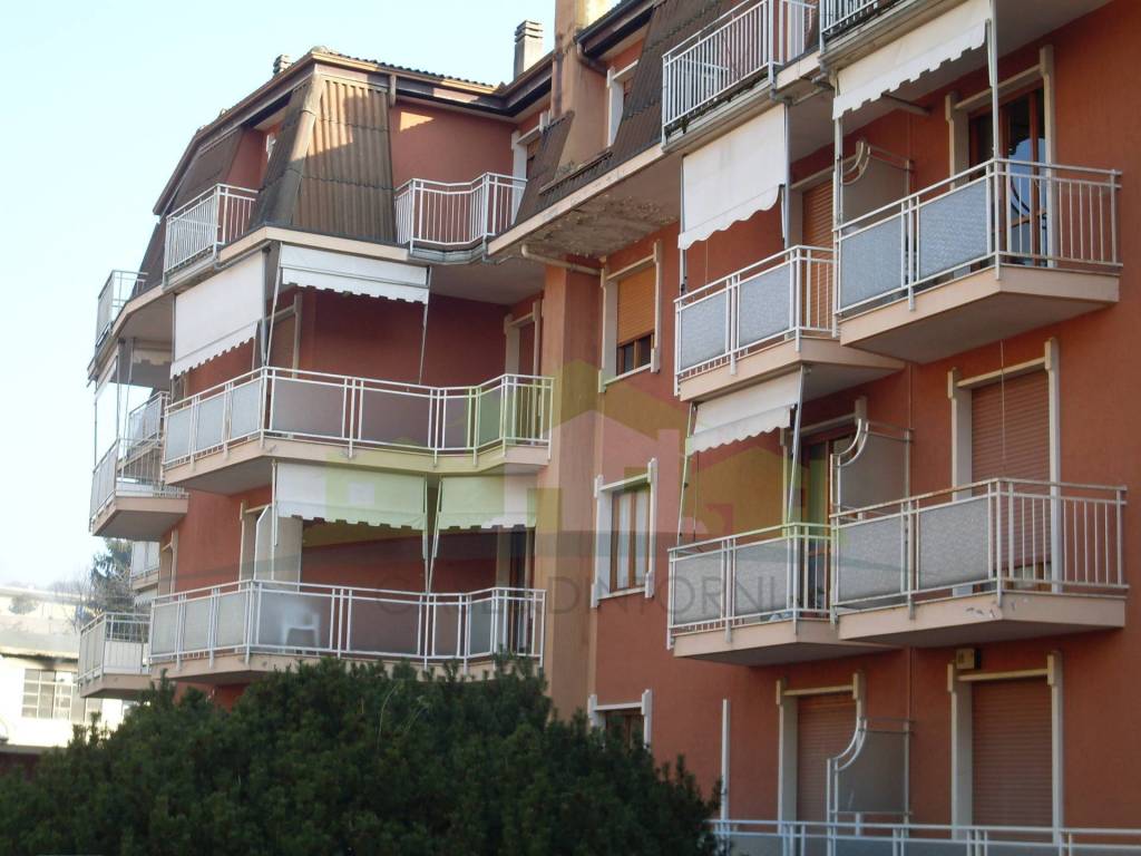 immagine annuncio 2 di 6