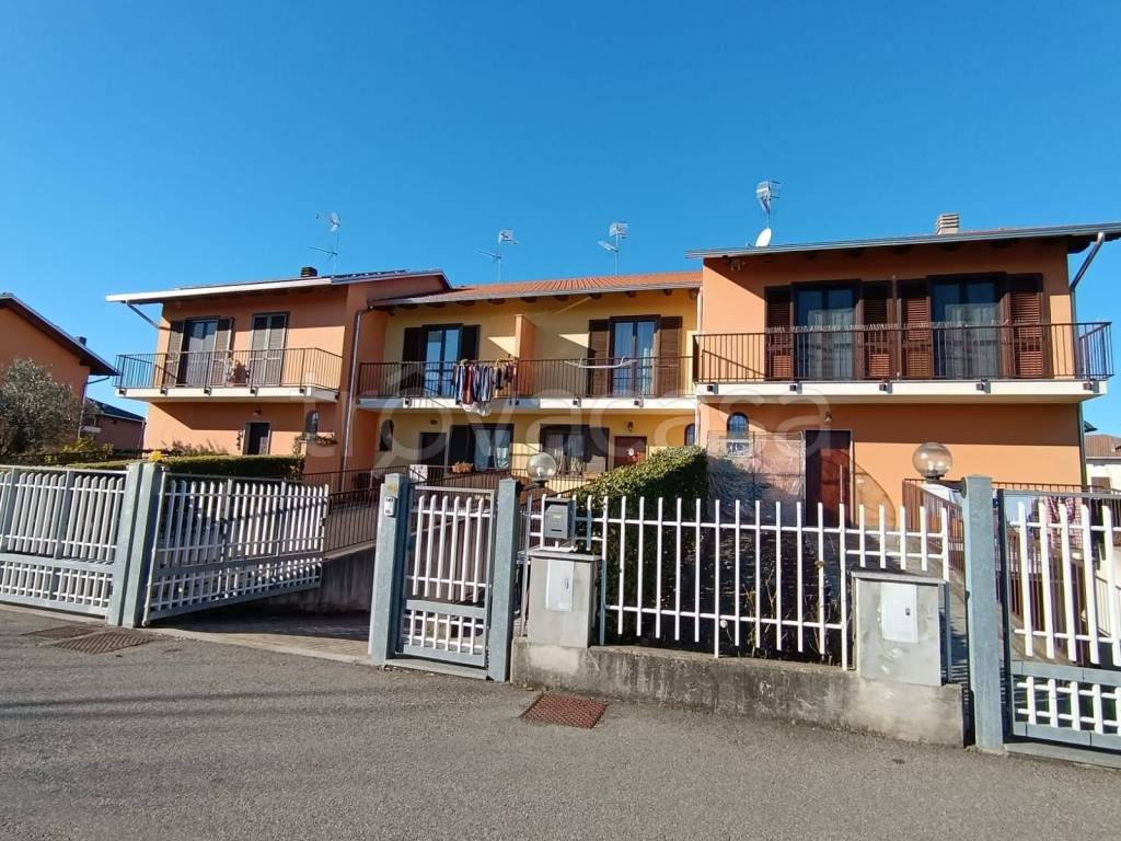 immagine annuncio 1 di 15