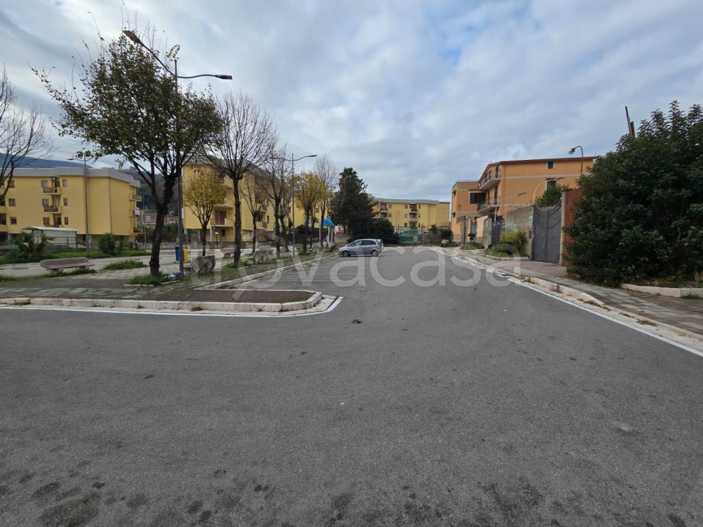 immagine annuncio 12 di 13