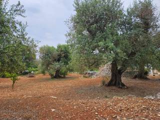 Terreno residenziale in vendita a ostuni contrada badessa