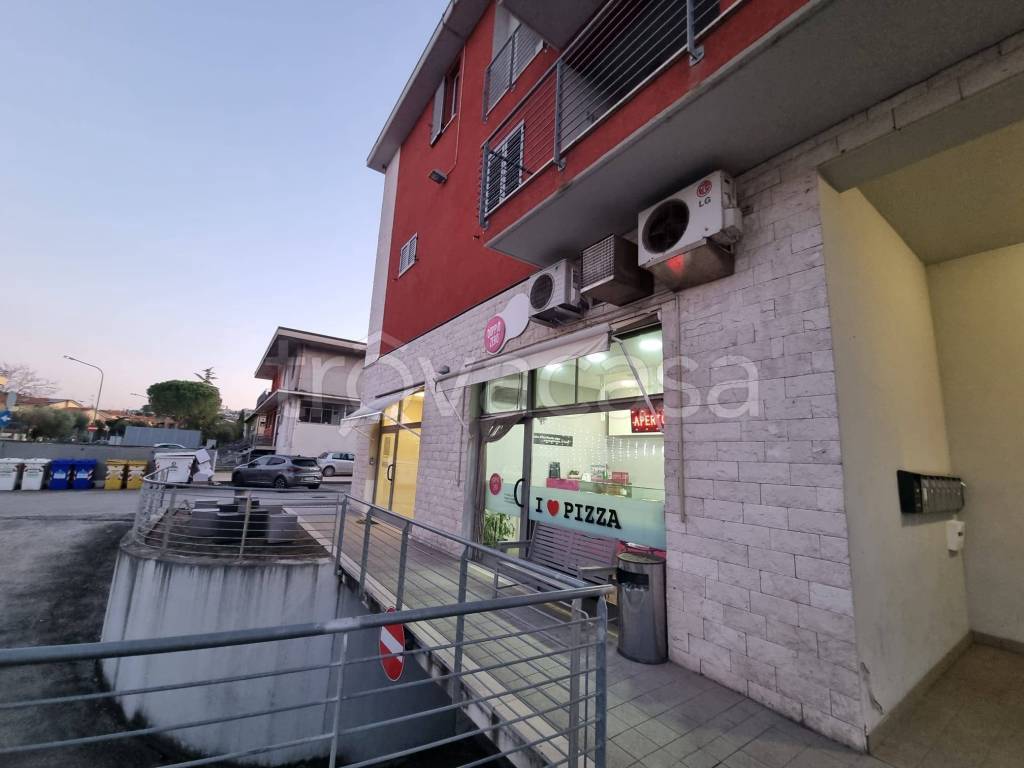 immagine annuncio 2 di 6