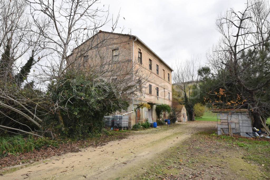 immagine annuncio 2 di 6
