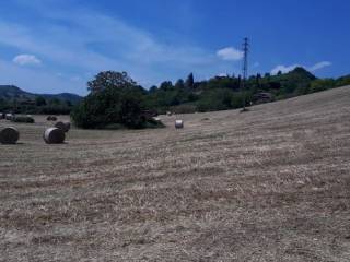 Terreno agricolo in vendita a vignola via frignanese