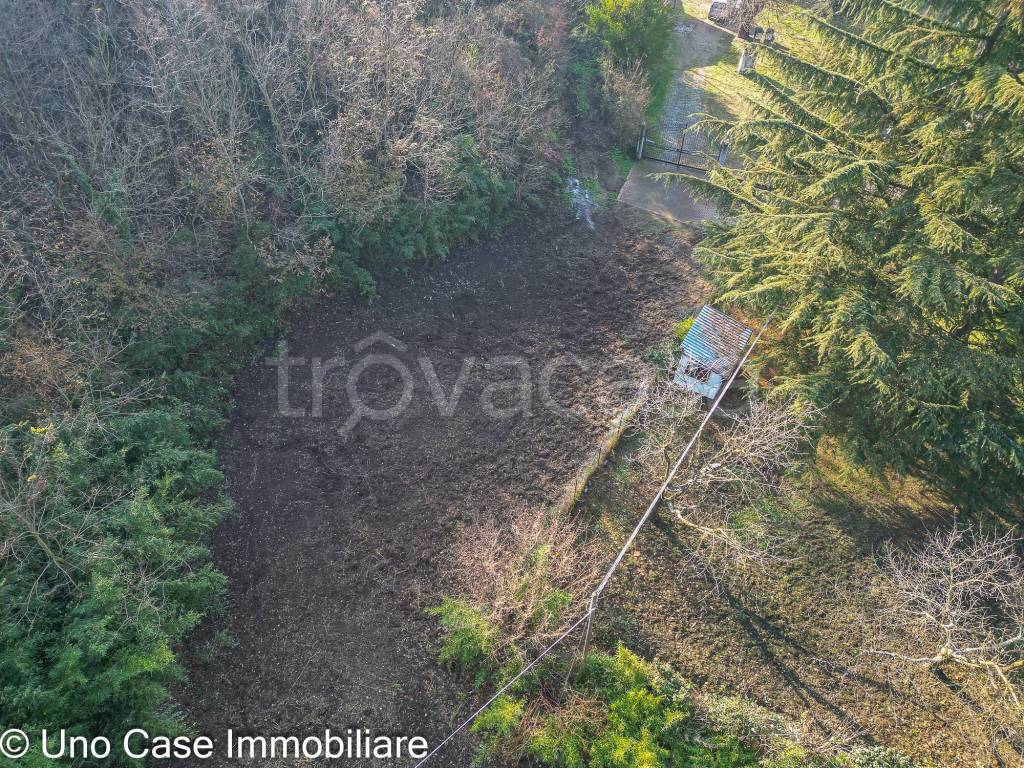 immagine annuncio 7 di 12