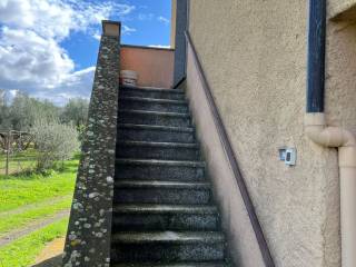 Villa bifamiliare in vendita a viterbo strada primomo sterparelle, 8