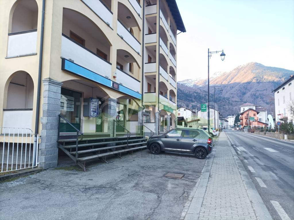 immagine annuncio 1 di 4