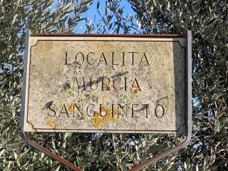 Terreno agricolo in vendita a tuoro sul trasimeno via firenze, 52