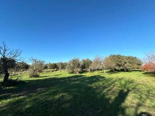 Terreno residenziale in vendita a castel sant'elia località i monti , snc