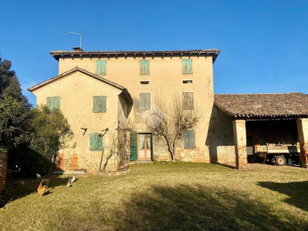 immagine annuncio 3 di 12