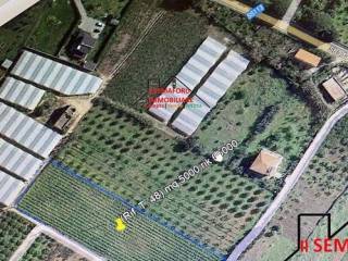 Terreno agricolo in vendita a partinico 