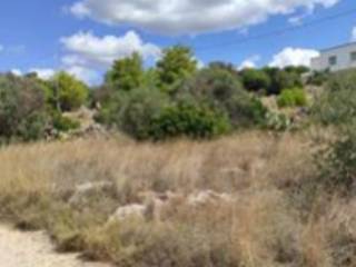 Terreno agricolo all'asta a morciano di leuca via giotto