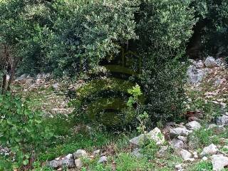 Terreno agricolo in vendita a marcellina località scarapellata