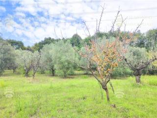 Terreno agricolo in vendita a palombara sabina strada di colle marocco