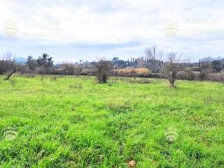 Terreno agricolo in vendita a palombara sabina località albanetta