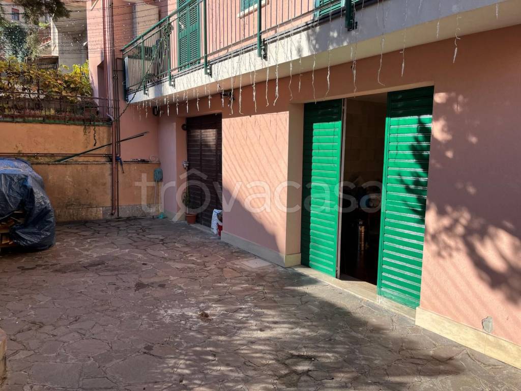 immagine annuncio 12 di 14