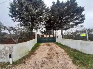 Villa in in vendita da privato a gioia del colle strada vicinale scantone