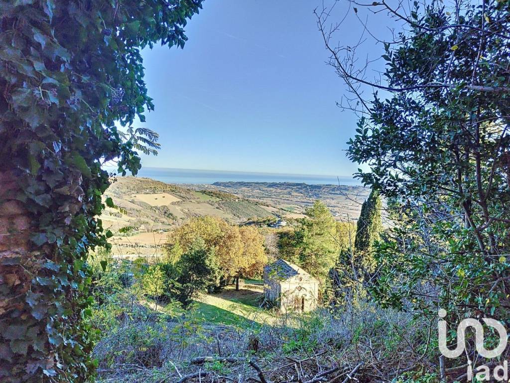 immagine annuncio 5 di 12
