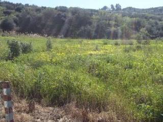 Terreno agricolo in vendita a misilmeri piazza santa teresa