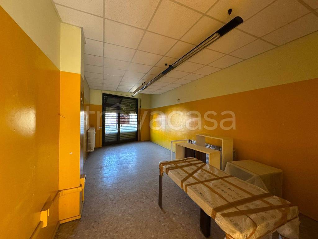 immagine annuncio 2 di 8