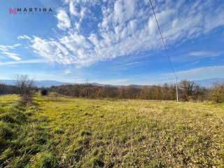 Terreno agricolo in vendita a vicalvi contrada collo fologno