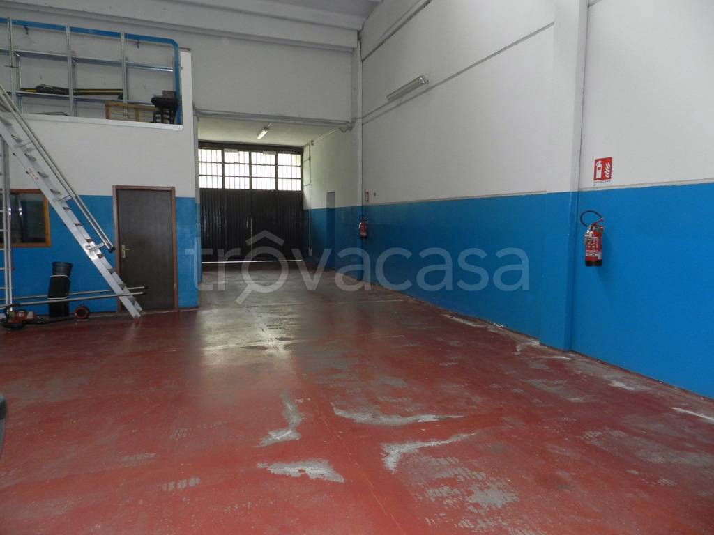immagine annuncio 2 di 11