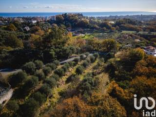 Terreno agricolo in vendita a boissano via varei, snc