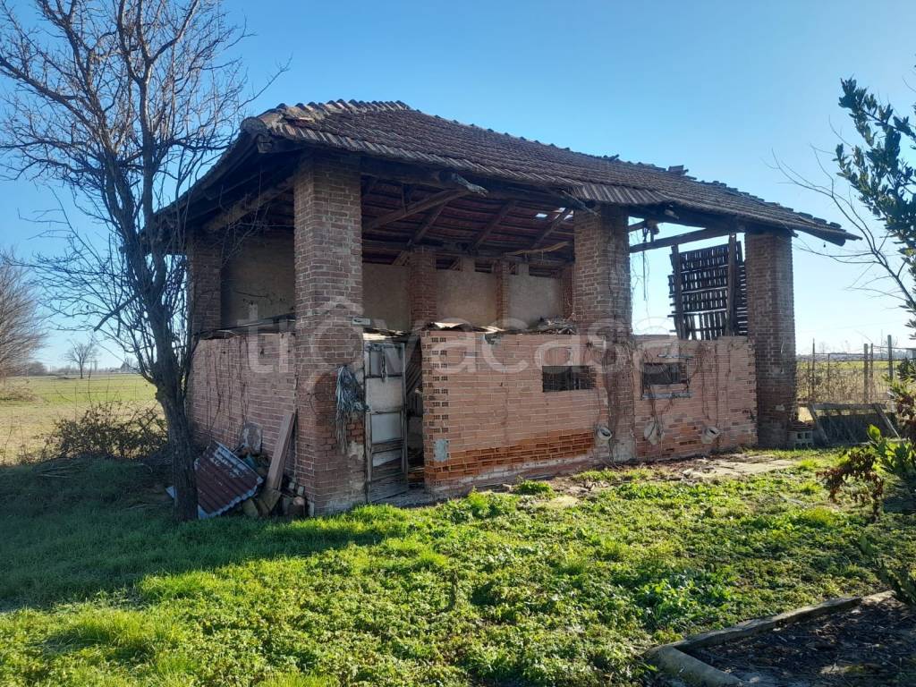 immagine annuncio 5 di 14