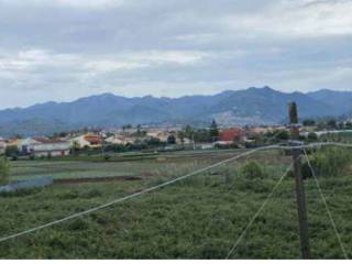 Terreno agricolo all'asta a milazzo contrada fondaco pagliara