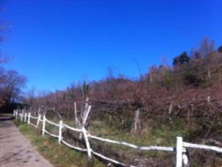 Terreno agricolo all'asta a bolsena sp53