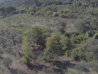 Terreno agricolo in vendita a imperia strada poggi