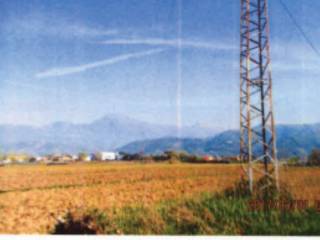 Terreno agricolo all'asta a massarosa via cala grande