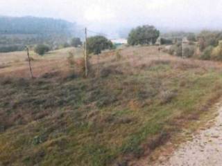 Terreno agricolo all'asta a collazzone strada della mandola