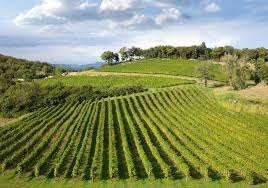 Terreno agricolo in vendita a rovereto 