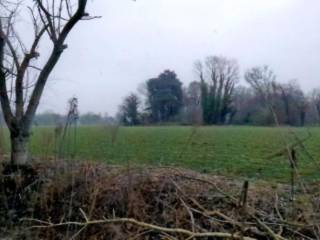 Terreno agricolo all'asta a cittadella via san rocco