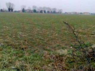 Terreno agricolo all'asta a cittadella via san rocco