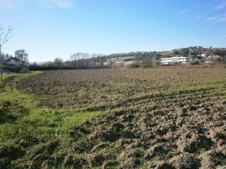 Terreno industriale all'asta a montegranaro sp30