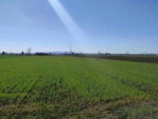 Terreno agricolo all'asta a san tammaro via santa maria la fossa