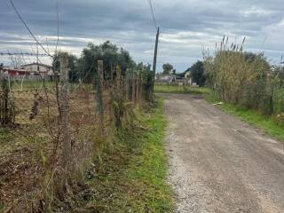 Terreno agricolo in vendita a nettuno via riofreddo, 10