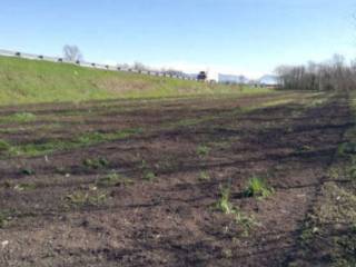 Azienda agricola all'asta a chiari via olmi