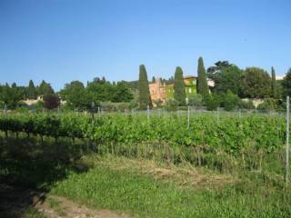 Terreno agricolo all'asta a grottaferrata via anagnina, 20